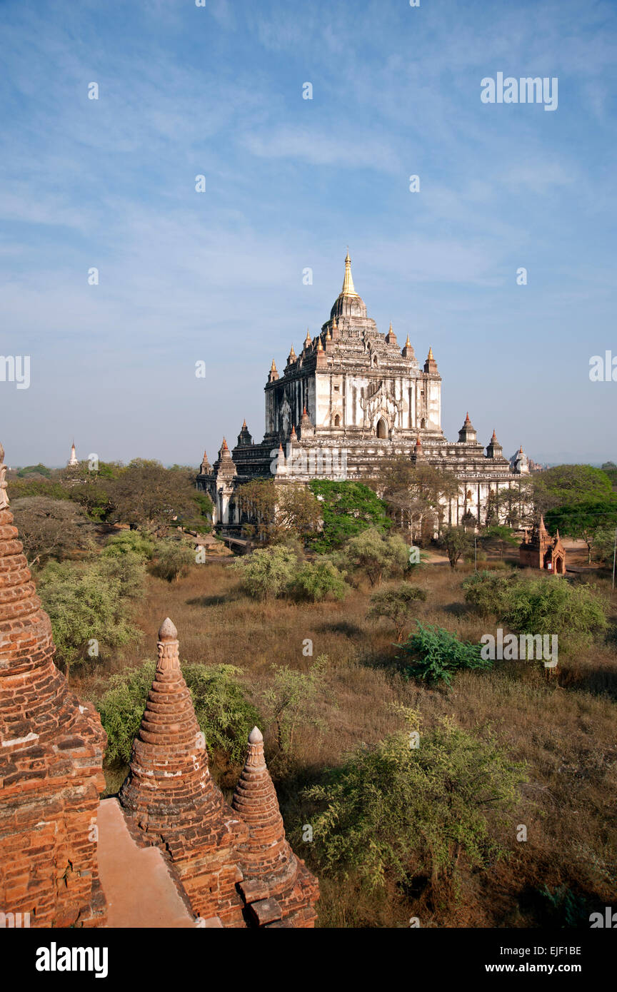 La Thatbyinnyu Pagoda si eleva alto tra la vegetazione sulla polvere della pianura di Bagan Myanmar Foto Stock