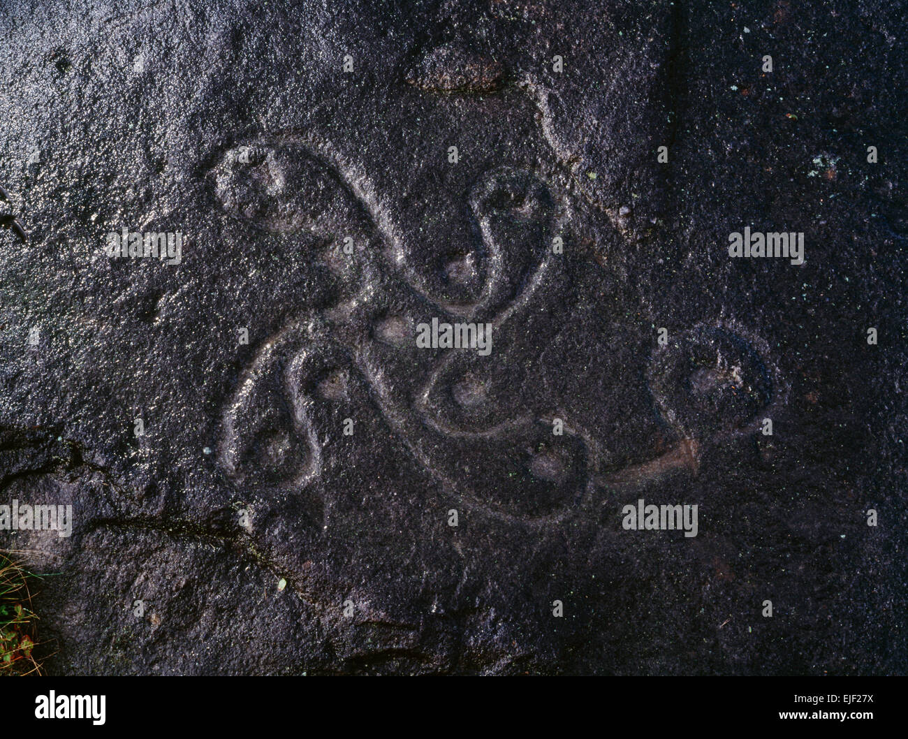 Età del ferro rock carving di una svastica in senso antiorario (scanalatura & croce di 9 tazze) su Woodhouse roccioso affacciato Ilkley in Wharfedale, West Yorkshire. Foto Stock