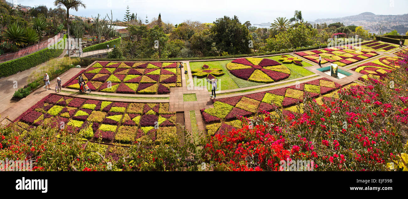 Il Jardim Giardini Botanici Funchal Madeira Portogallo Foto Stock