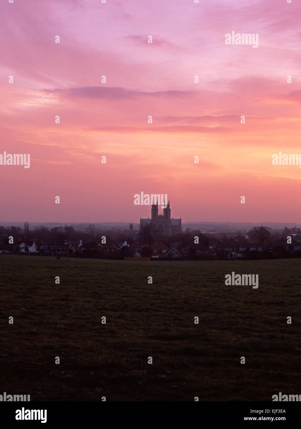 Beverley Minster, East Yorkshire, all alba di un marzo mattina cercando e dalla Westwood. Dedicato a C8TH A-S fondatore monastica di San Giovanni di Beverley. Foto Stock