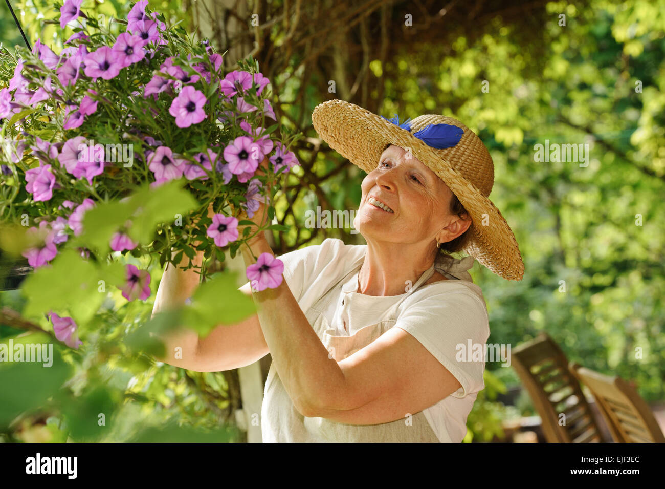 Felice donna senior tende i fiori in un vaso pensile. Vi è uno sfondo verde di piante sfocate, in legno e sedie per esterni Foto Stock