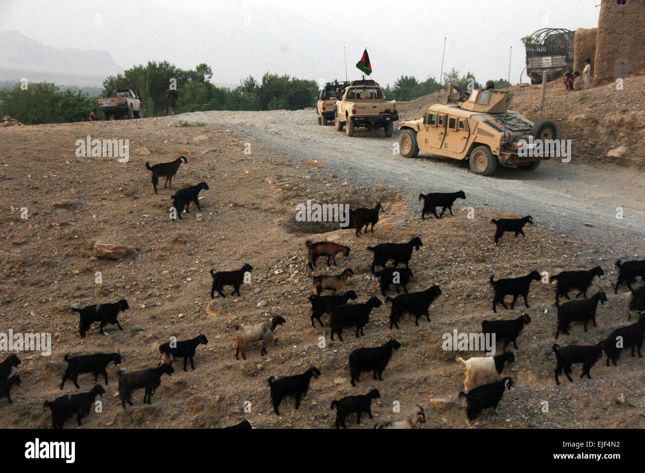 Stati Uniti I soldati dell esercito dal 2° Battaglione, ottantaduesima Brigata Aerea a lungo raggio di sorveglianza e di distacco esercito nazionale afghano soldati fornire protezione durante un cordone e di effettuare la ricerca vicino al villaggio di Durham-Durham, Afghanistan, 19 Agosto, 2007. Il personale Sgt. Michael L. Casteel Foto Stock