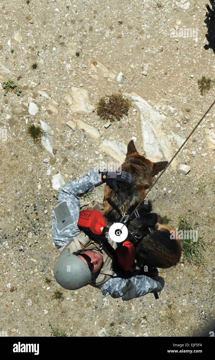 Il personale Sgt. David Hornsby con "Liza" , la sua cauzione speciale di cane dal 101st Air Assault Division il sollevamento dal suolo con un paranco durante un canino-paranco di formazione missionaria Luglio 15 diritto al di fuori di Bagram Airfield, Afghanistan. US Army foto di Spc. Aubree Rundle Foto Stock
