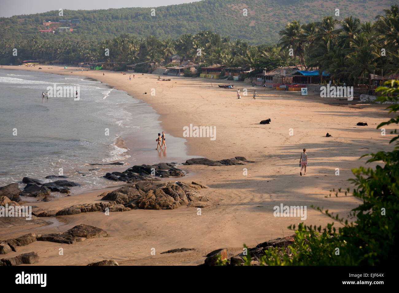 Kudle spiaggia vicino Gokarna, Karnataka, India, Asia Foto Stock