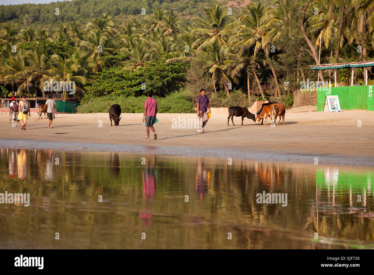 Kudle spiaggia vicino Gokarna, Karnataka, India, Asia Foto Stock
