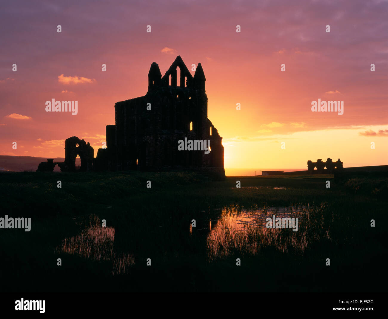 Silhouette di Whitby Abbey rovine, North Yorkshire, cercando NW al tramonto: resti di un Norman abbazia benedettina ricostruita 1220 ai primi di stile inglese Foto Stock