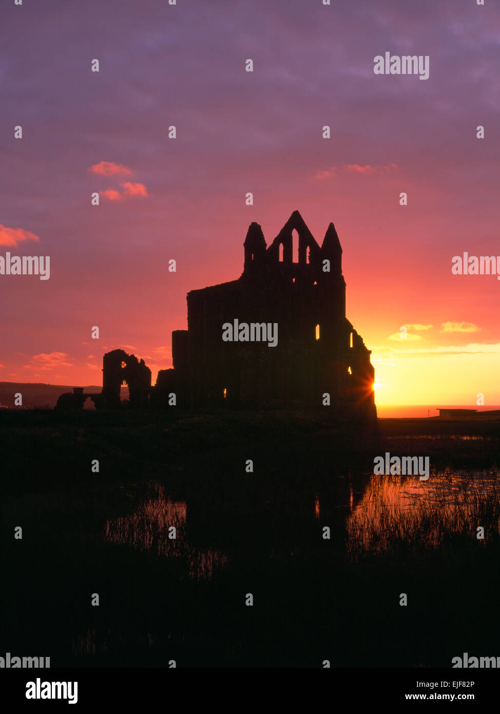 Silhouette di Whitby Abbey rovine, North Yorkshire, cercando NW al tramonto. Resti di un Norman abbazia benedettina ricostruita 1220 ai primi di stile inglese Foto Stock