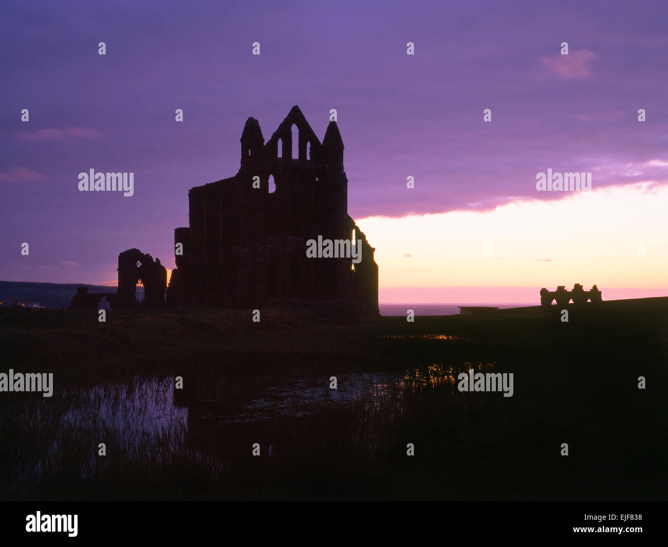 Whitby Abbey rovine, North Yorkshire, silhouette cercando NW al calar della sera; resti di Norman abbazia benedettina ricostruita 1220 ai primi di stile Inglese. Foto Stock