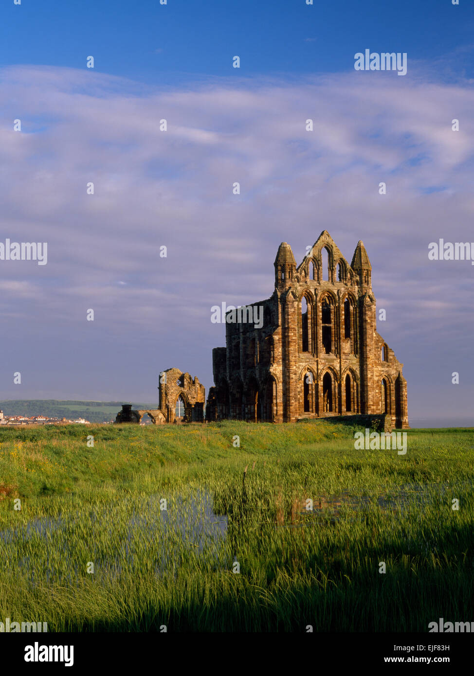 Whitby Abbey rovine, North Yorkshire, cercando N in inizio di mattina di sole: resti di Norman abbazia benedettina ricostruita 1220 ai primi di stile Inglese. Foto Stock