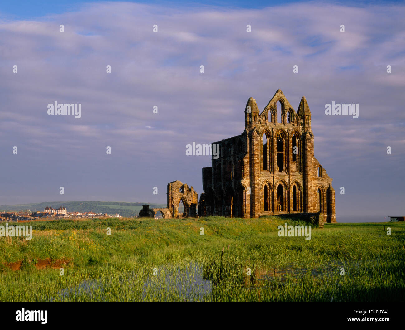 Whitby Abbey rovine, North Yorkshire, cercando N in inizio di mattina di sole: resti di Norman abbazia benedettina ricostruita 1220 ai primi di stile Inglese. Foto Stock