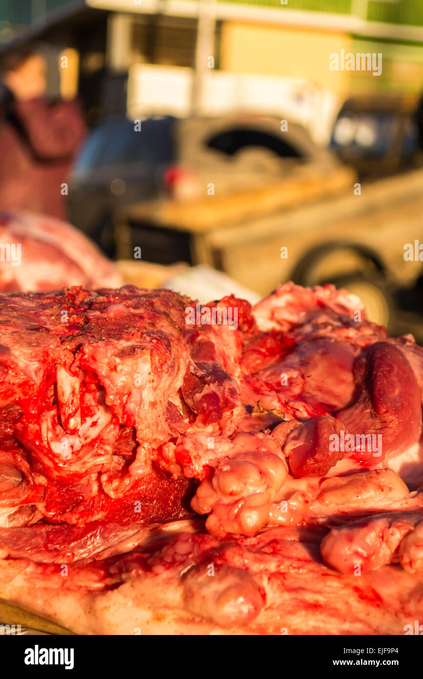 Verde malaticcio carne cruda pronto per Zombie per mangiare Foto Stock