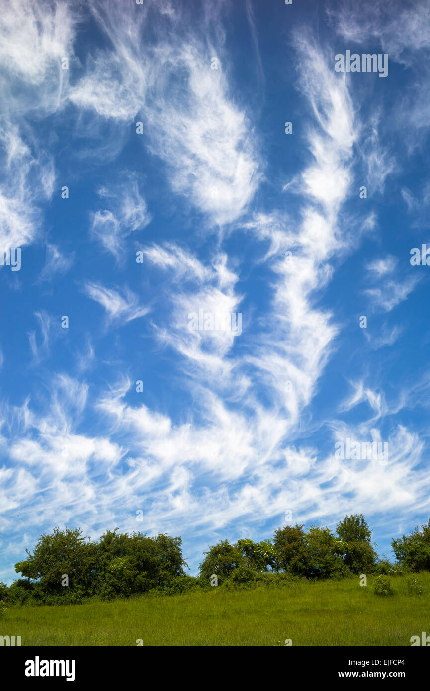 Cirrus nuvole nel cielo blu Foto Stock