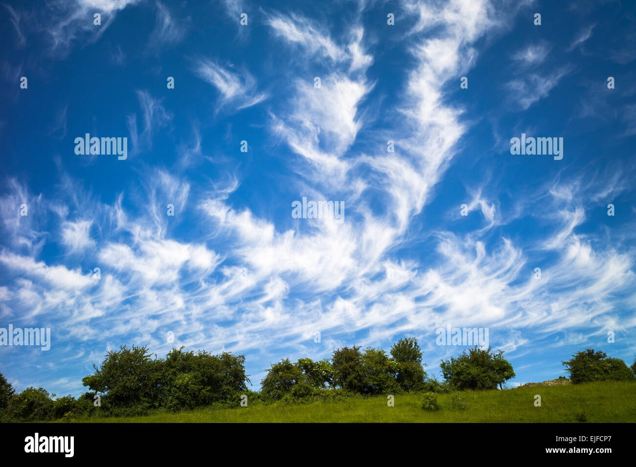 Cirrus nuvole nel cielo blu Foto Stock