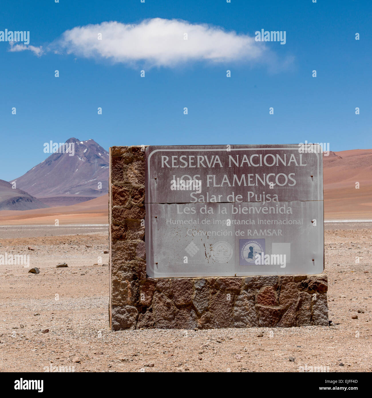 Los Flamencos riserva nazionale, San Pedro de Atacama, El Loa Provincia, Regione di Antofagasta, Cile Foto Stock