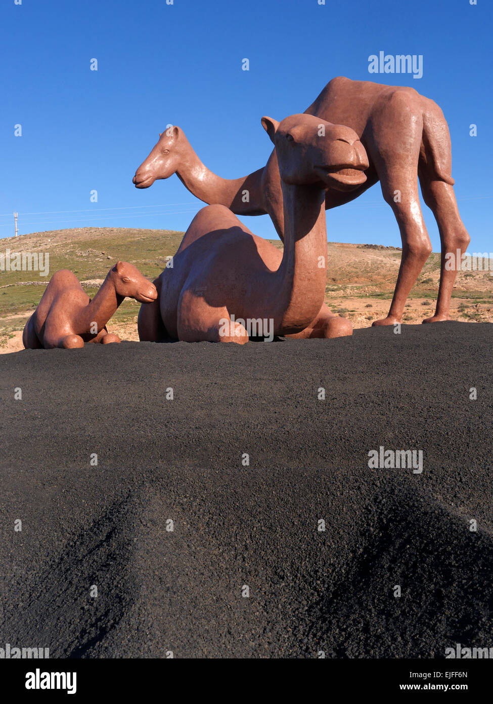 LANZAROTE cammelli cammello arte scultura con nera vulcanica picon base in Uga Yaiza Lanzarote isole Canarie Spagna Foto Stock