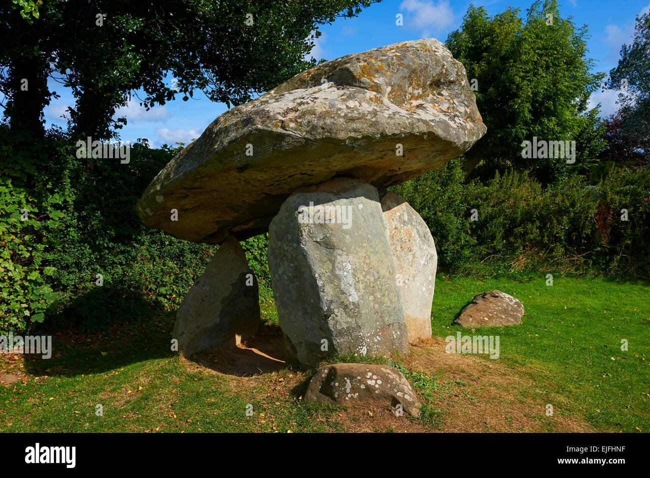 Carreg Coetan Quoit è una sepoltura megalitica dolmen fin dal periodo neolitico, circa 3000 BC, vicino a Newport Pembrokeshire, Galles Foto Stock