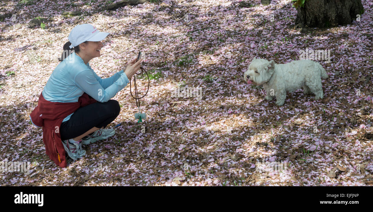 Donna con il suo cane nel parco centrale, Manhattan, New York City, nello Stato di New York, Stati Uniti d'America Foto Stock