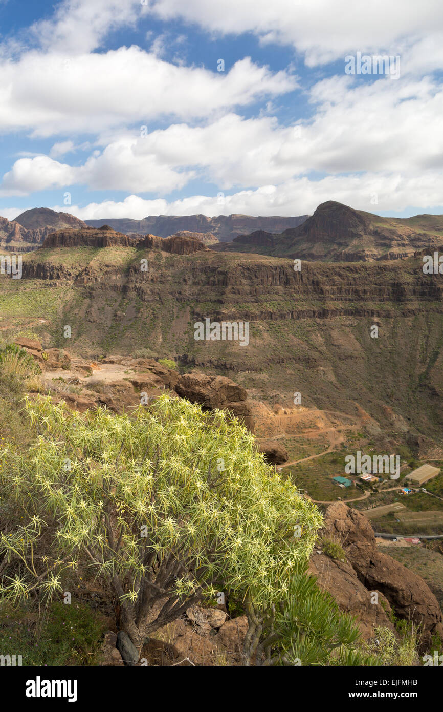 Gran Canaria - Vista sul paesaggio canyon lungo barranco - Isole Canarie, Spagna, Europa Foto Stock