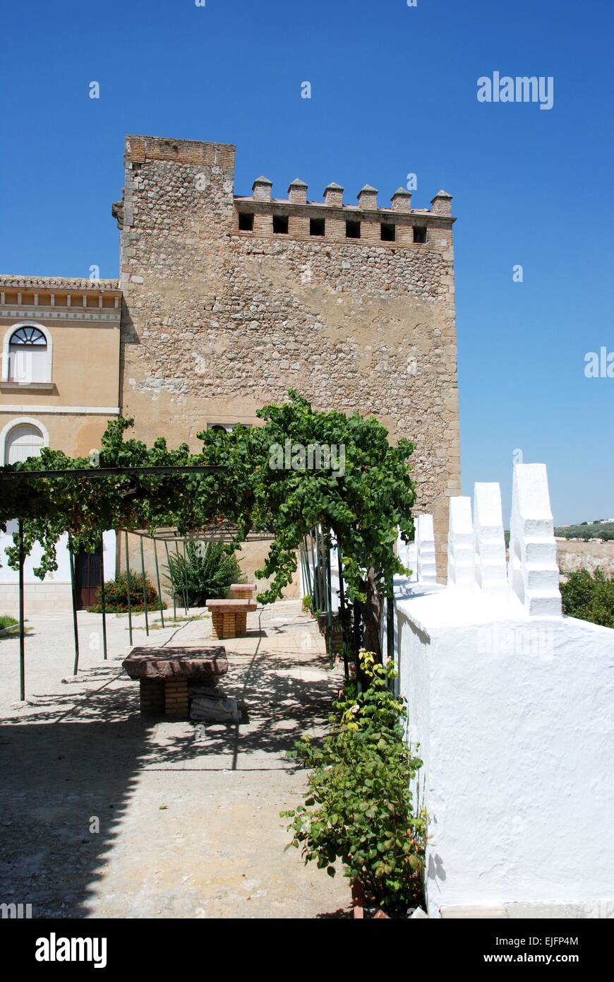 Vista del cortile del castello (Castillo de los Condes de Cabra) e merlature con grapevine coperti, Cabra, Andalusia, Spagna. Foto Stock