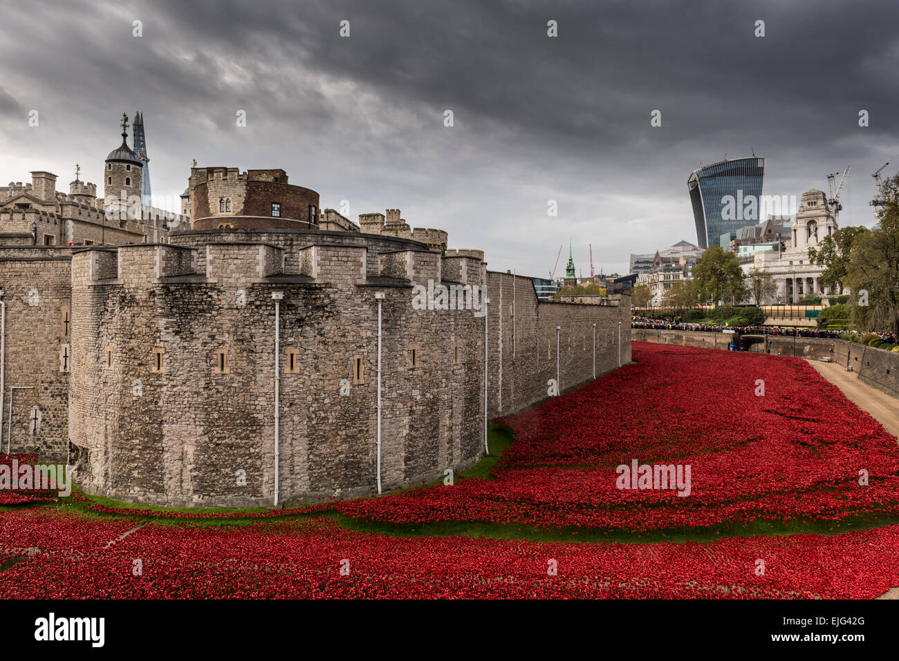 Torre di Londra e la ceramica papaveri rossi (progettata da Paolo Cummins) installato come un memoriale di guerra, REGNO UNITO Foto Stock