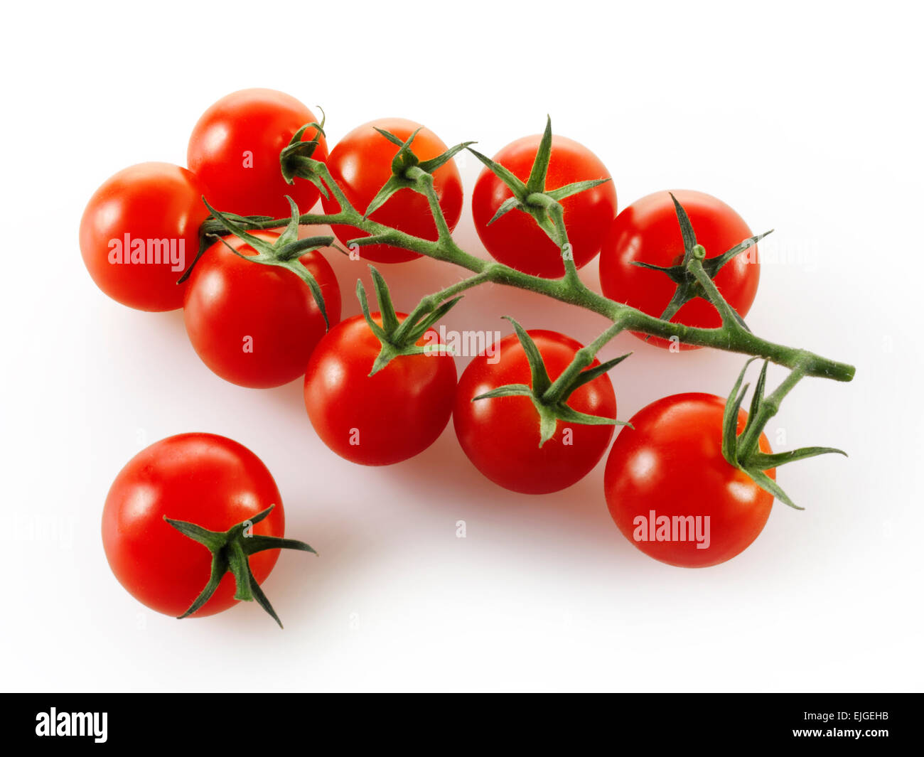 Vittoris pomodori a grappolo su sfondo bianco Foto Stock