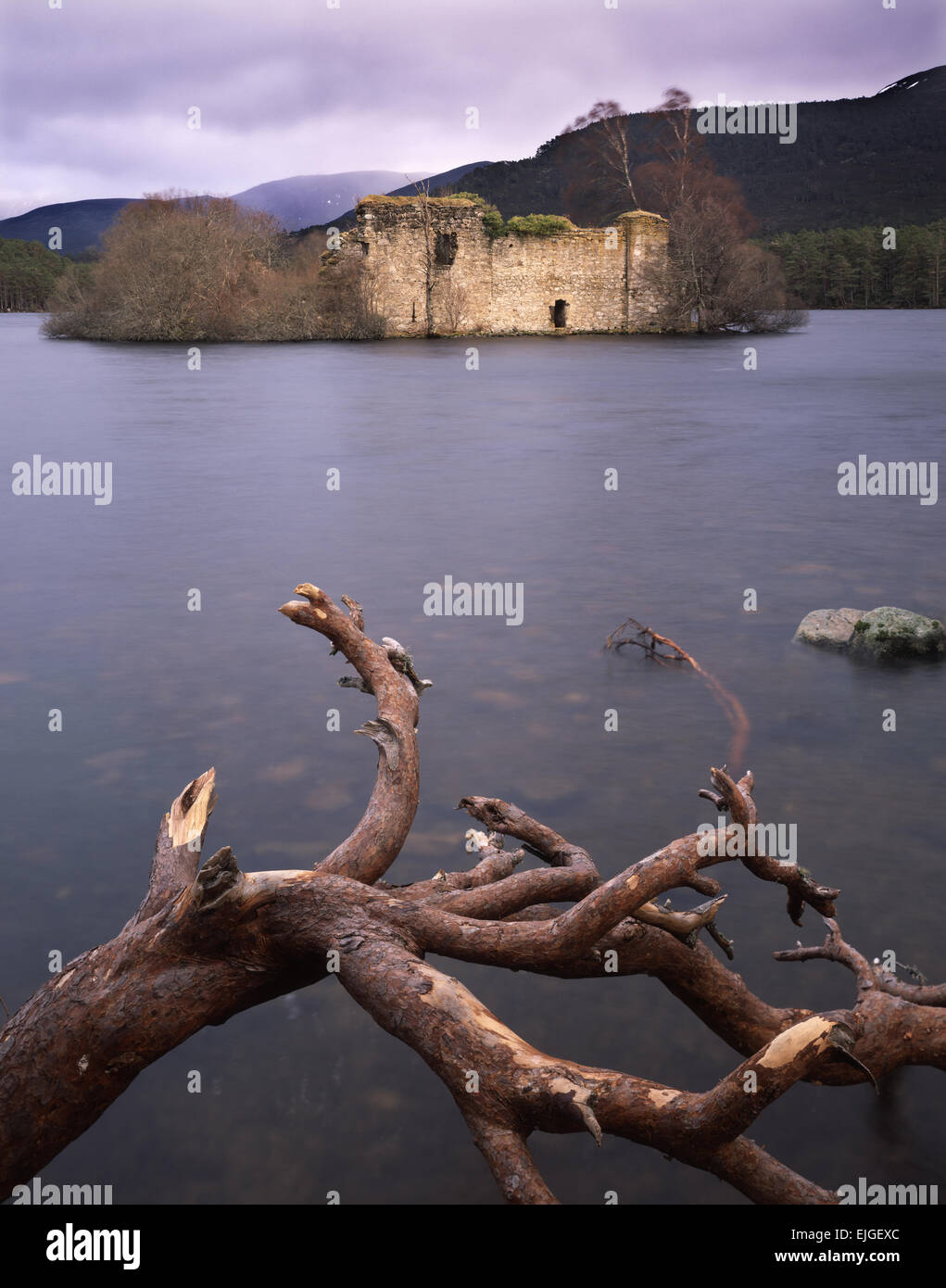 Loch un Eilean, Rothiemurchus foresta, Cairngorms, Scotland, Regno Unito Foto Stock