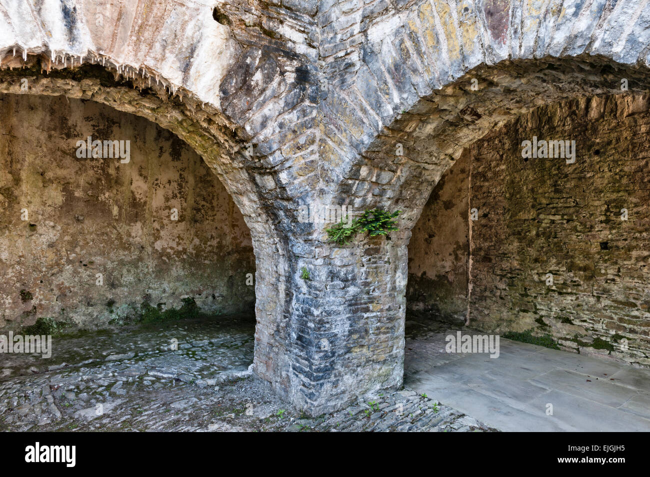 Aberglasney House e giardini, Carmarthen, Wales, Regno Unito. La Elizabethan / Chiostro giacobino Garden Foto Stock