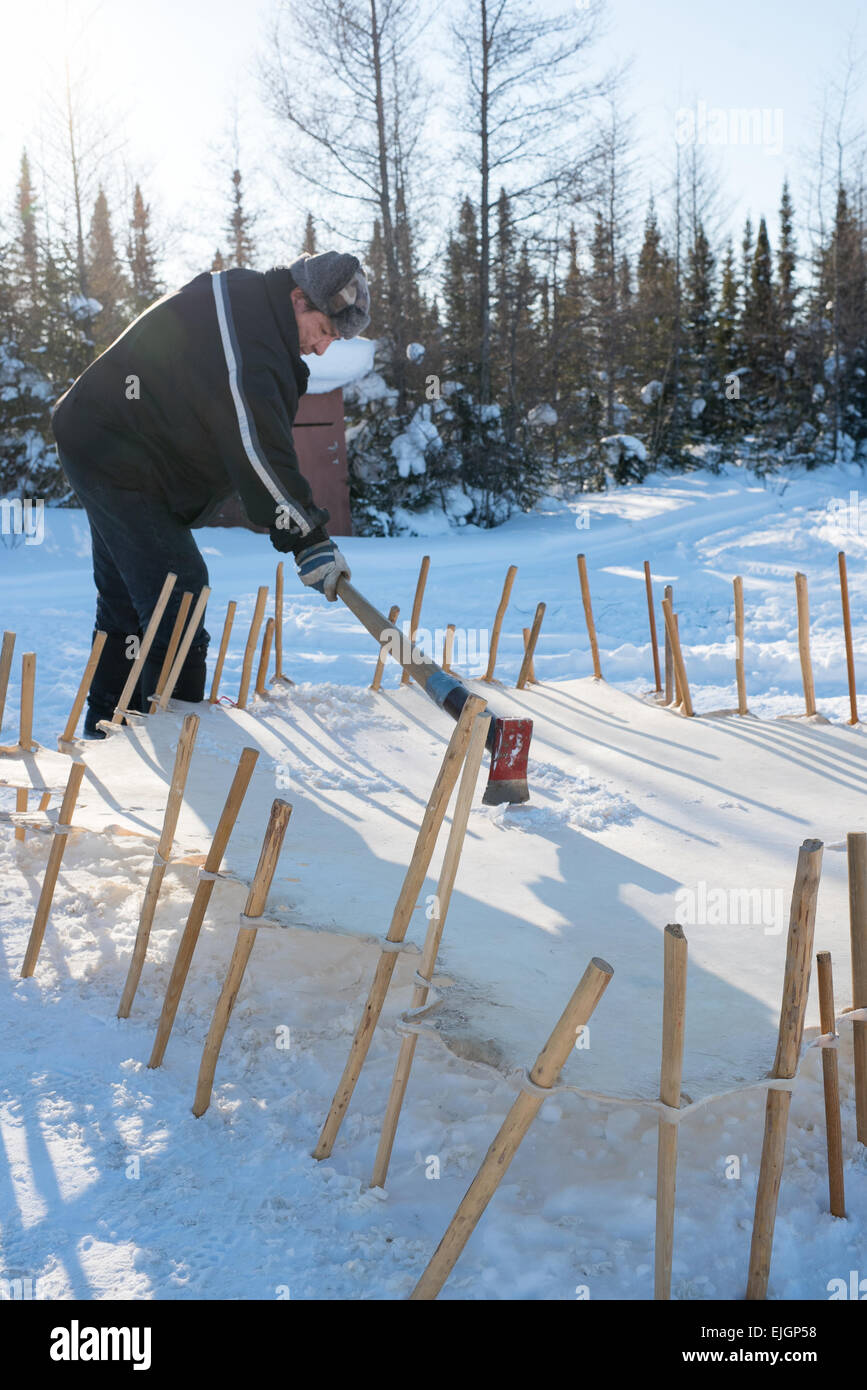 Cree uomo raschiando le alci nascondere Northern James Bay Quebec Foto Stock