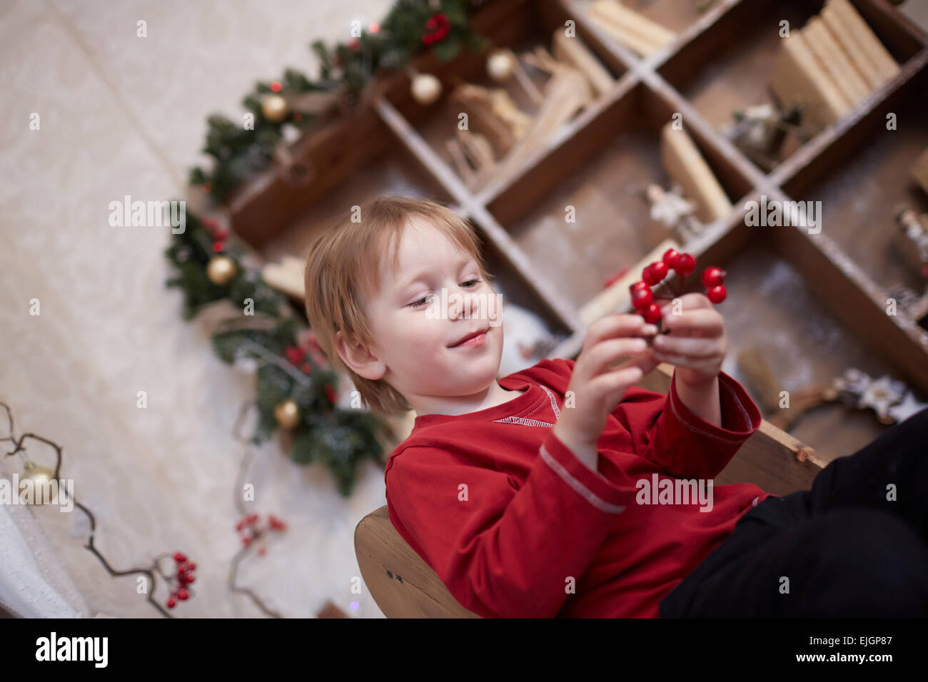 Ragazzo cinque anni in previsione della vacanza, seduta vicino l'albero di Natale, tenendo in mano un grappolo di bacche rosse Foto Stock