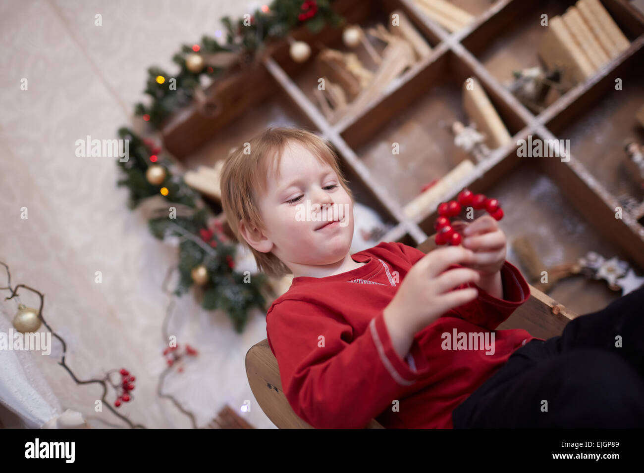 Ragazzo cinque anni in previsione della vacanza, seduta vicino l'albero di Natale, tenendo in mano un grappolo di bacche rosse Foto Stock