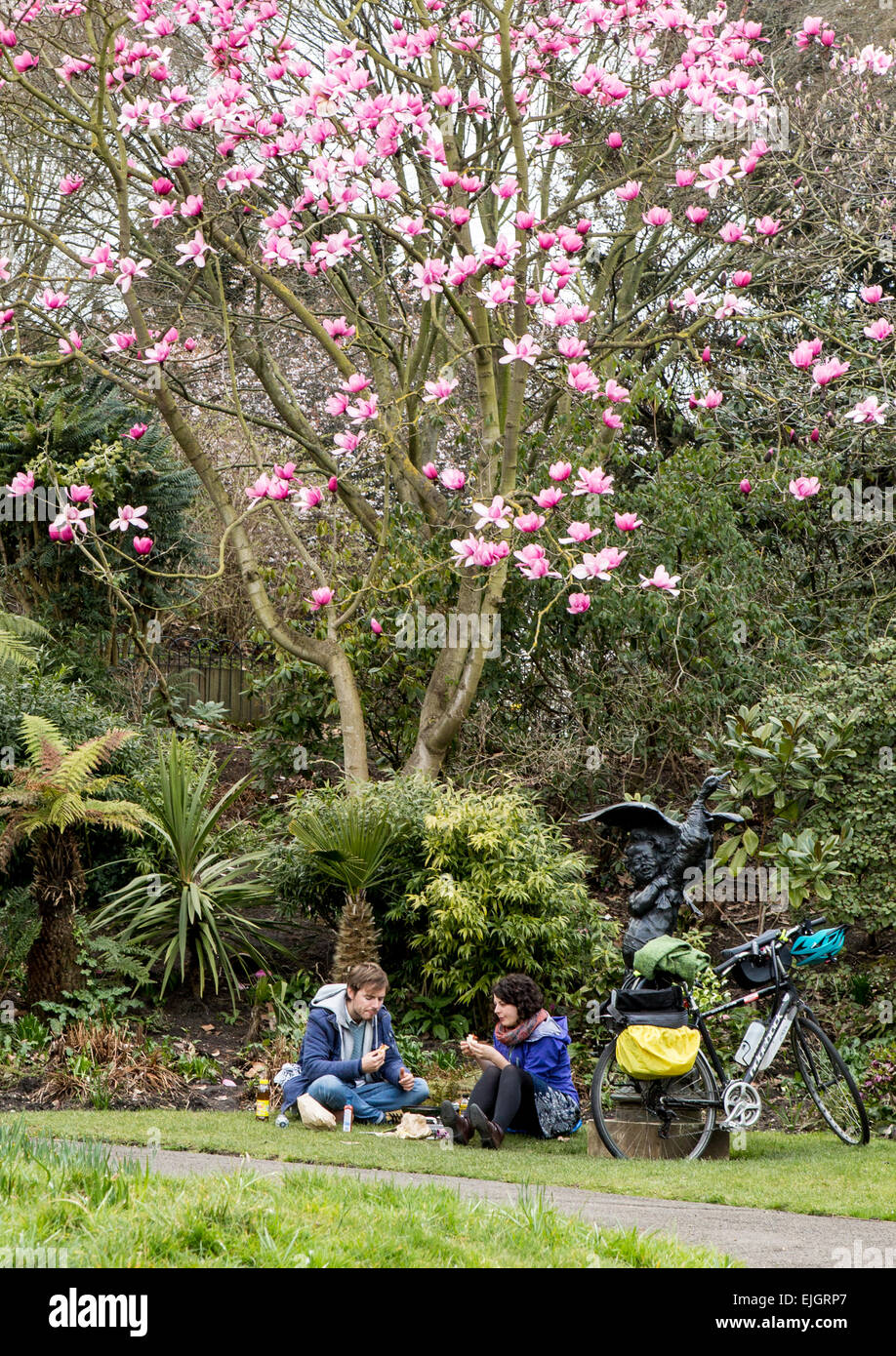 Coppia avente un picnic sotto un albero di magnolia in Regents Park London REGNO UNITO Foto Stock