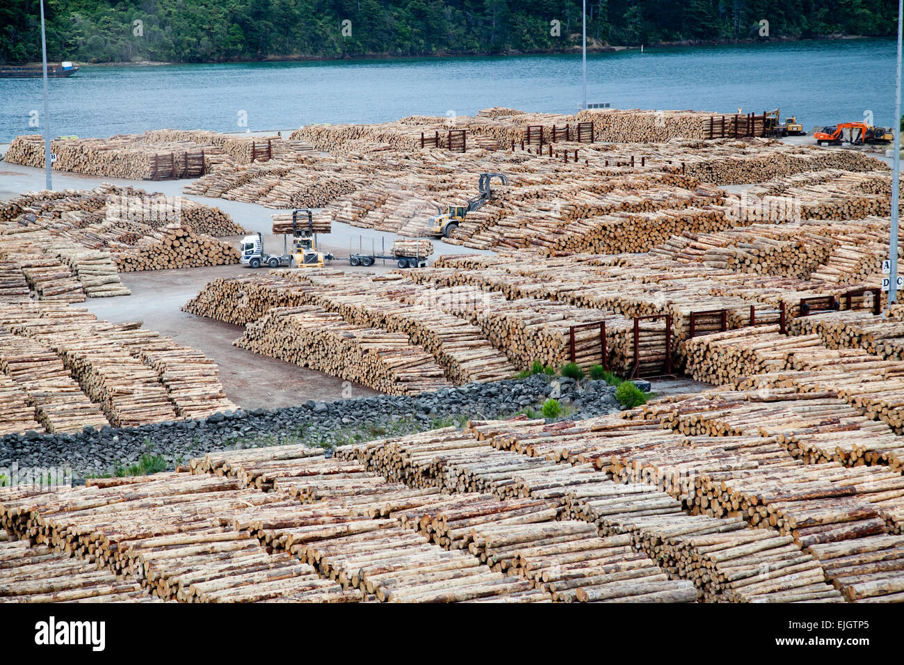 Stock di legno. Marlborough Suono, Nuova Zelanda, isola meridionale Foto Stock