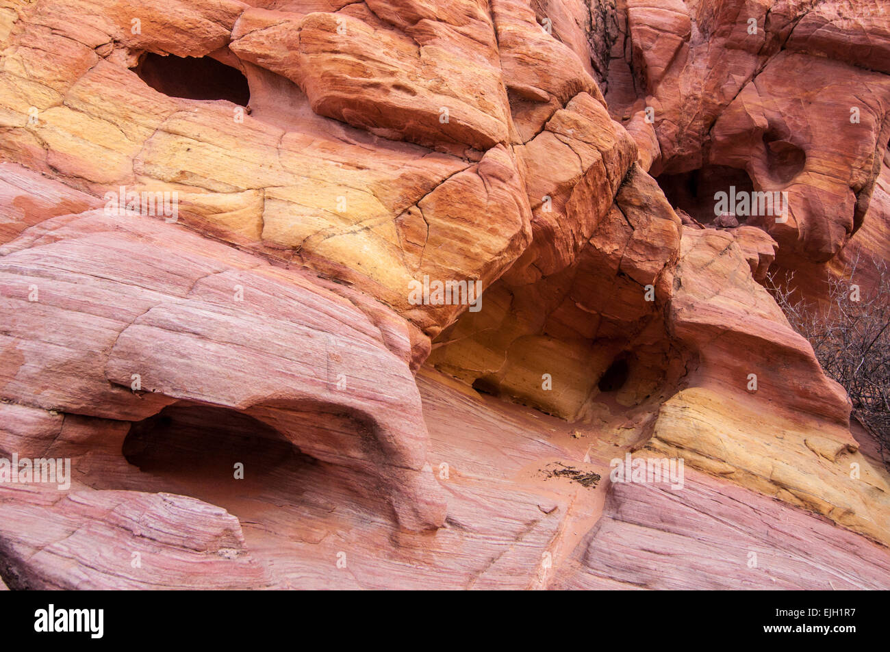 Arenaria colorata Wash - Valle del Fuoco - Nevada Foto Stock