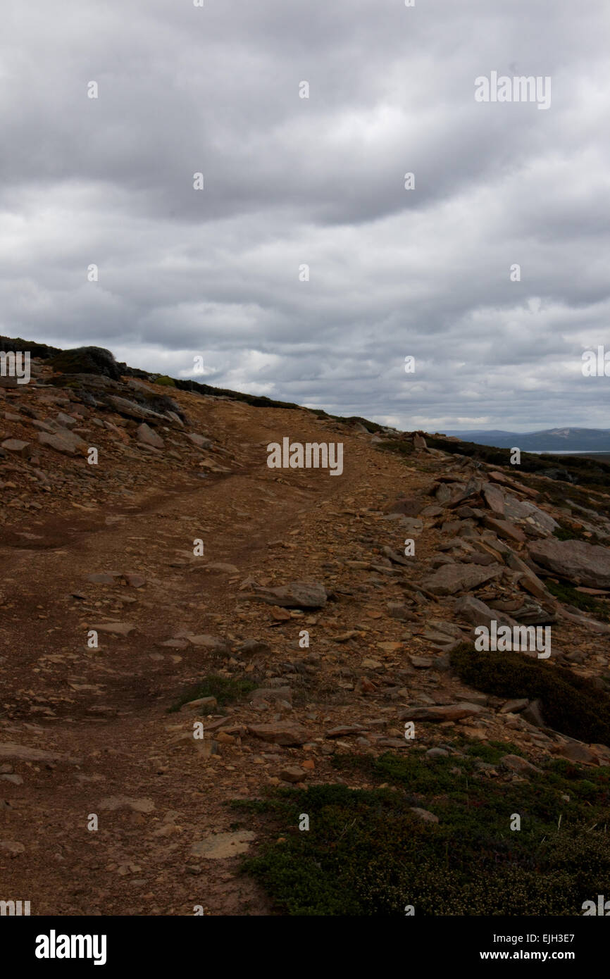 Vista di Saunders Island Foto Stock