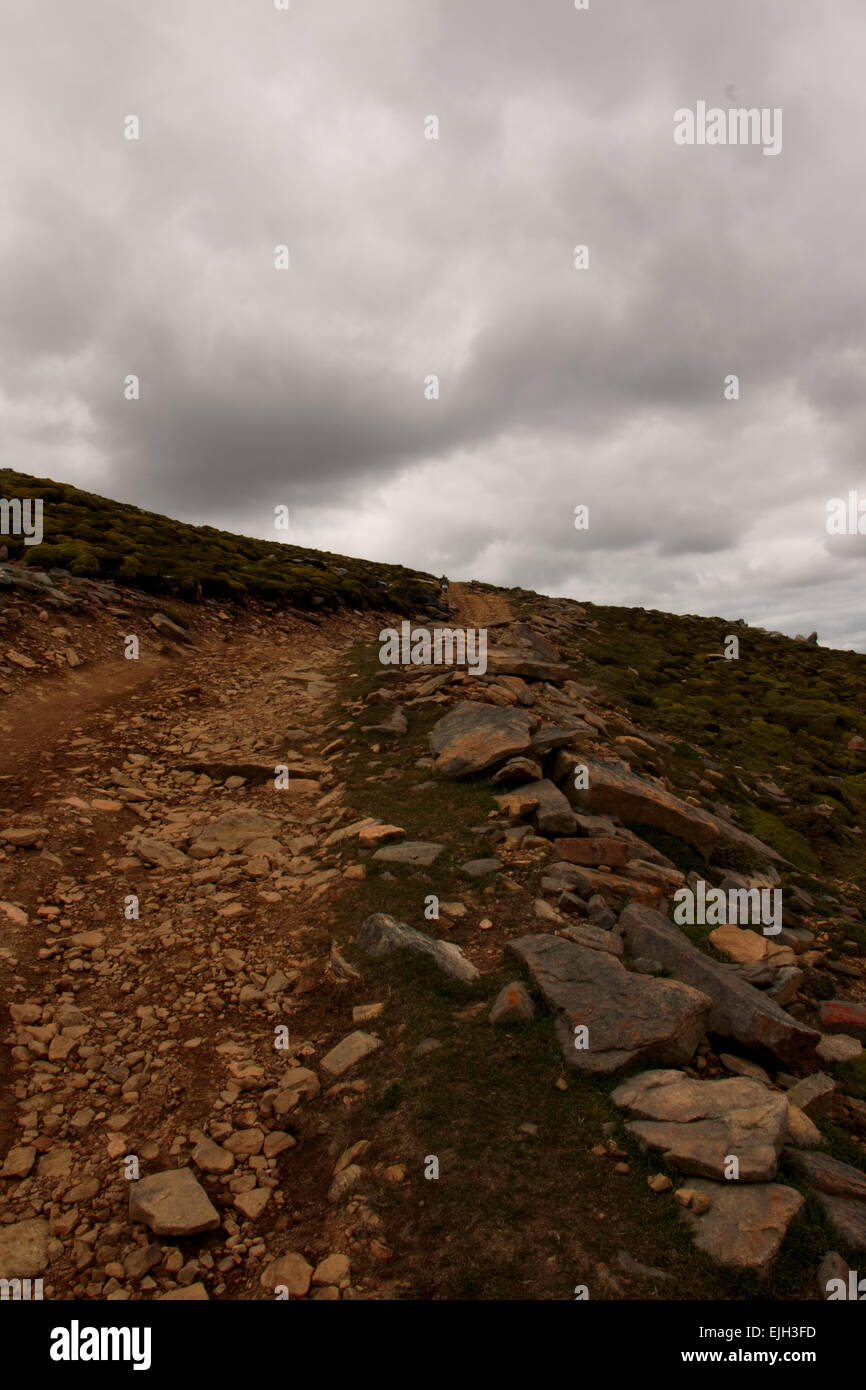 Vista di Saunders Island Foto Stock