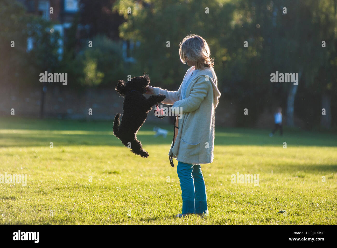 Una Donna vestita di bianco cammina il suo piccolo cane nero in un parco di Londra al tramonto in estate Foto Stock