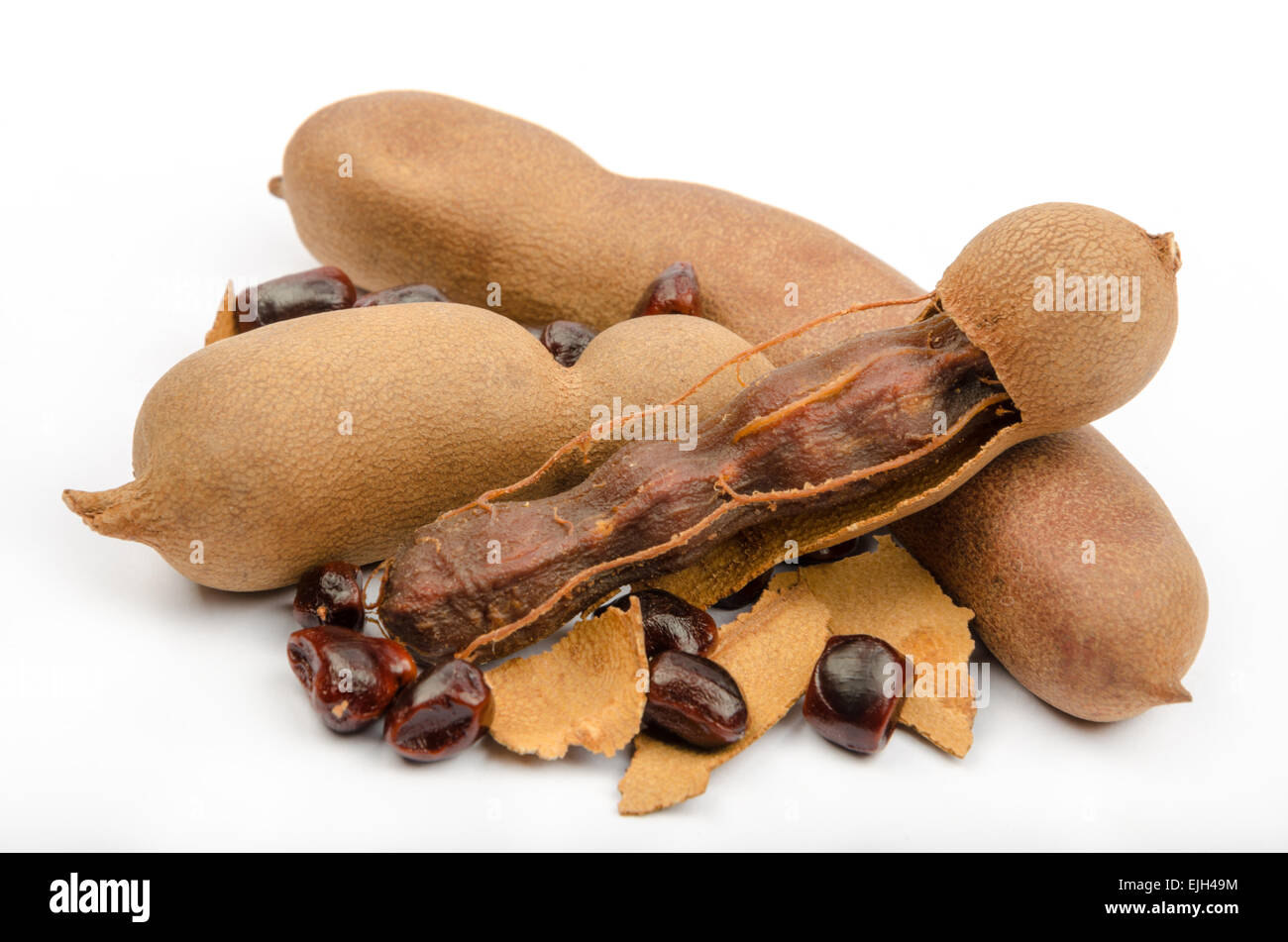 (Tamarindo Tamarindus indica), il famoso cibo del sud-est asiatico, Nord Africa, India Foto Stock