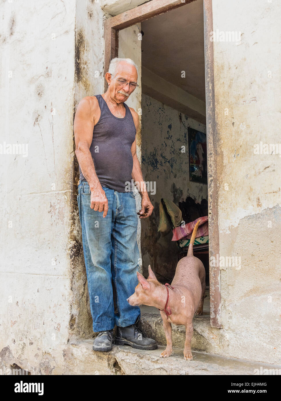 Un cubano ispanica l uomo sta alla porta della sua casa a La Habana Vieja, Cuba con il cane accanto a lui. Foto Stock