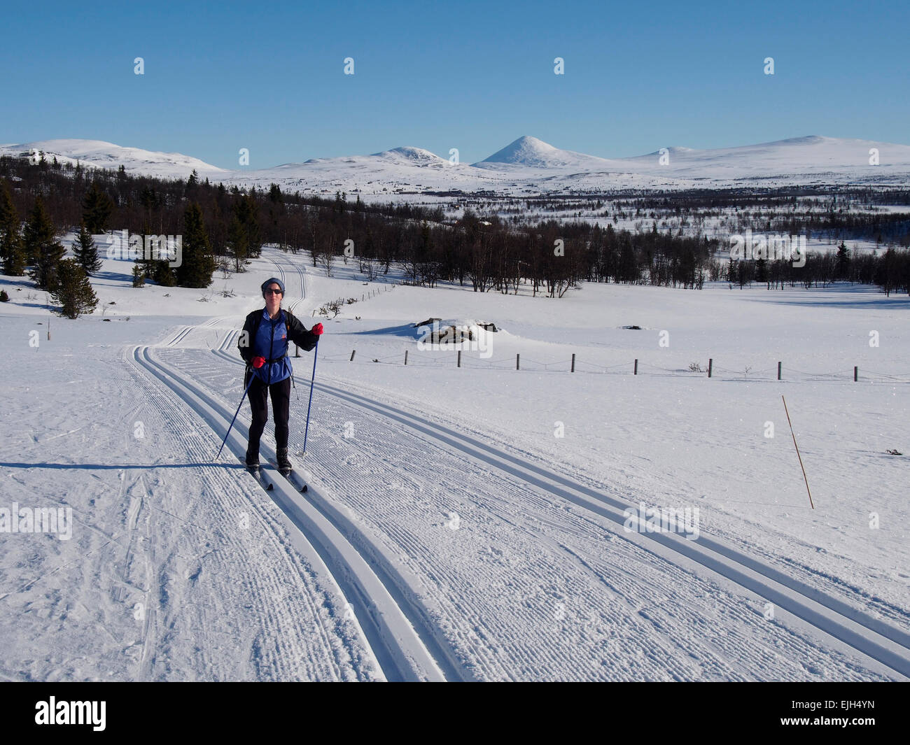Sci di fondo nei pressi di Venabu, Norvegia Foto Stock