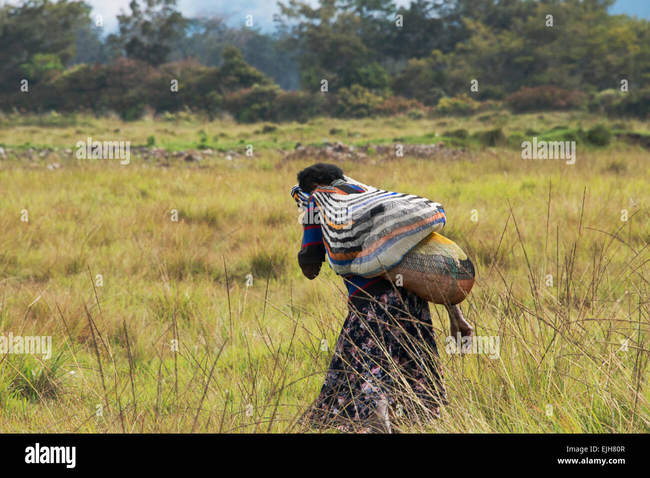 Dani donna che trasportano noken, un annodato net o sacchetto di tessuto, Wamena, Papua, Indonesia Foto Stock