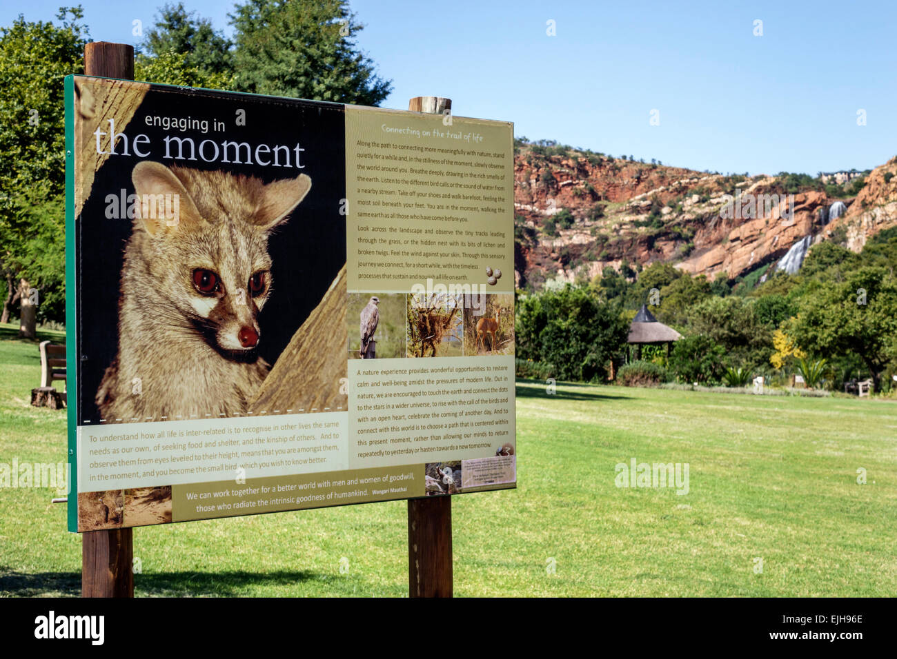 Johannesburg Sud Africa, Roodepoort, Walter Sisulu National Botanical Garden, Witwatersrand, segno, informazioni, natura, SAfri150305010 Foto Stock