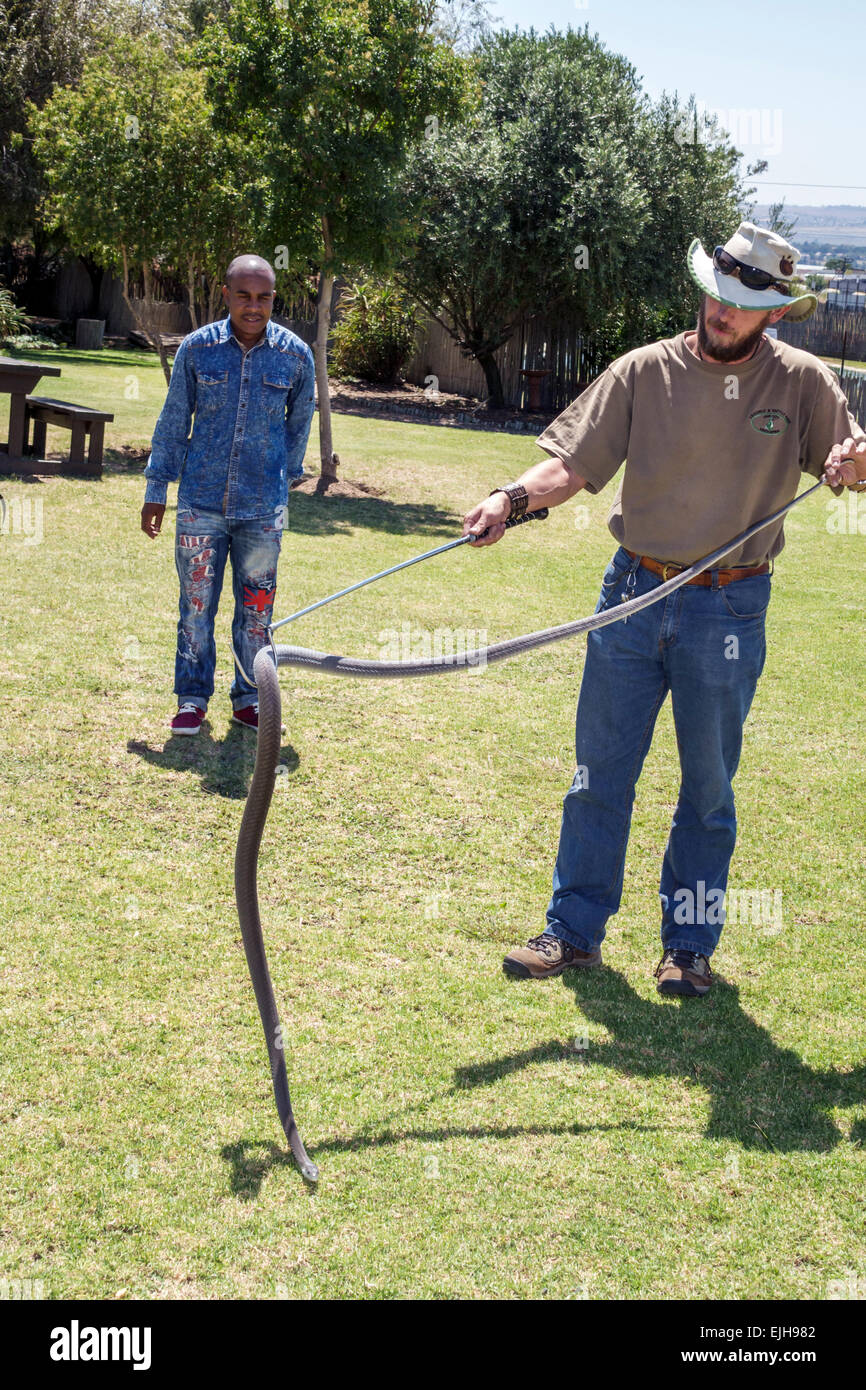 Johannesburg Sud Africa, African Croc City Crocodile & e Reptile Park, fattoria, neri neri africani africani minoranza etnica, adulti uomini uomini maschi, Foto Stock