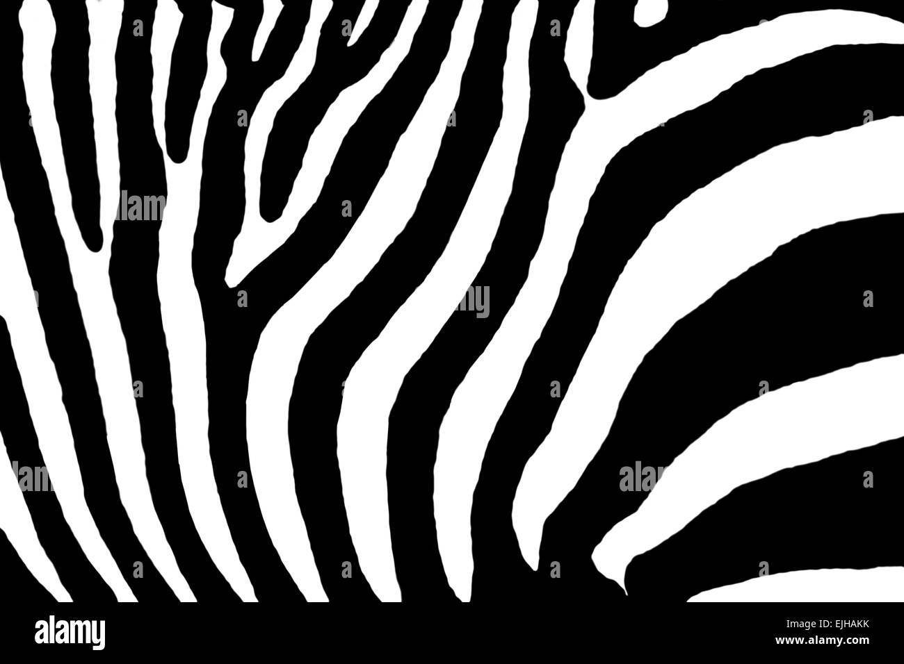 Zebra Pattern come Foto Stock