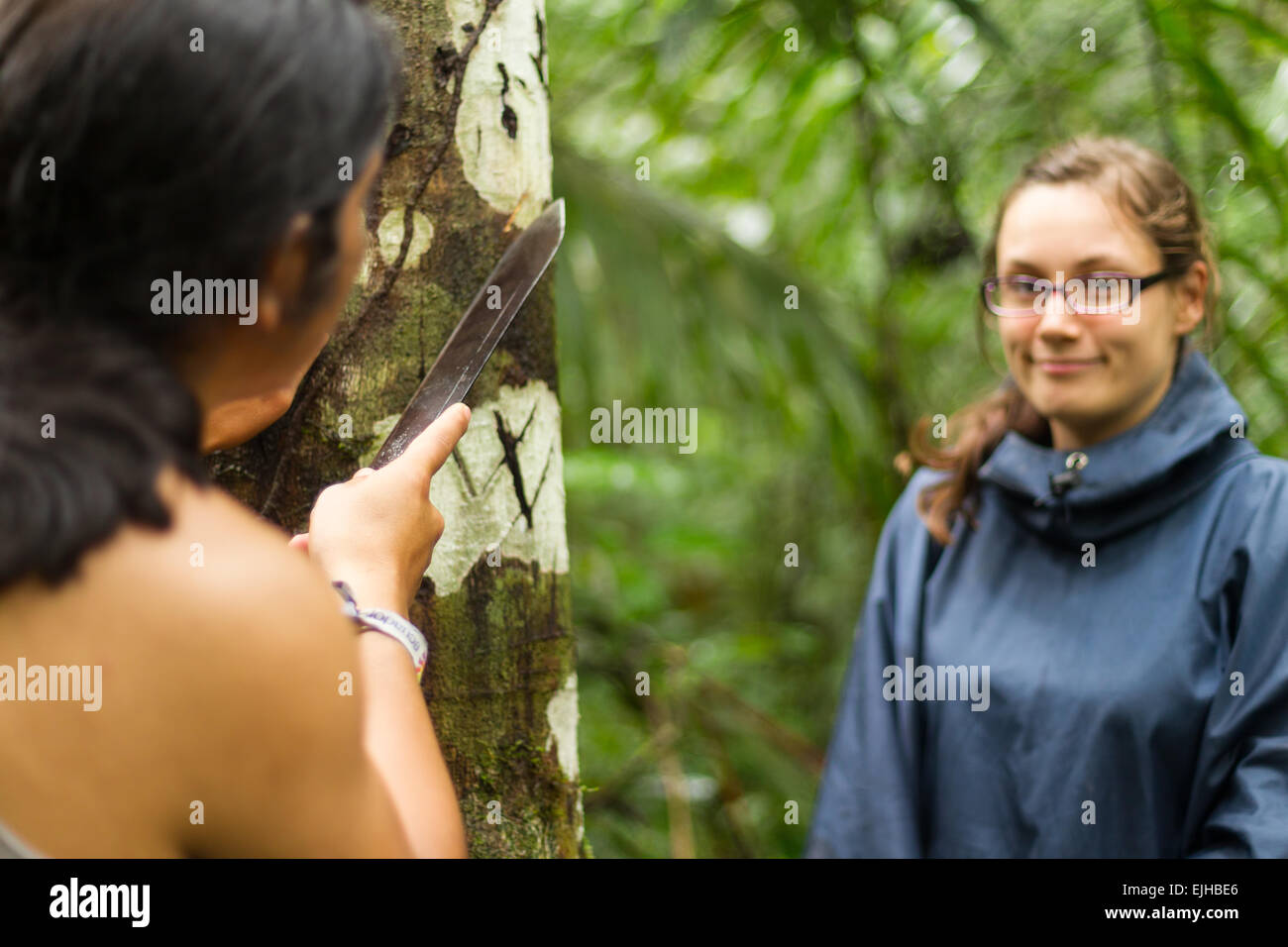 Guid naturalista spiegare ad un turista femminile sangre de drago estrazione Focus sulla corteccia di albero Foto Stock