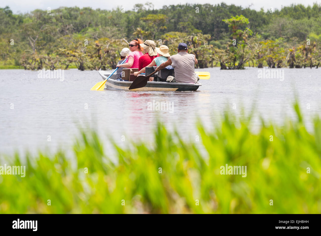I turisti la pesca leggendario pesce Piranha in Amazzonia ecuadoriana giungla primaria Foto Stock