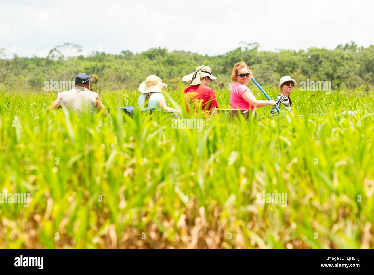 I turisti la pesca leggendario pesce Piranha in Amazzonia ecuadoriana giungla primaria Foto Stock