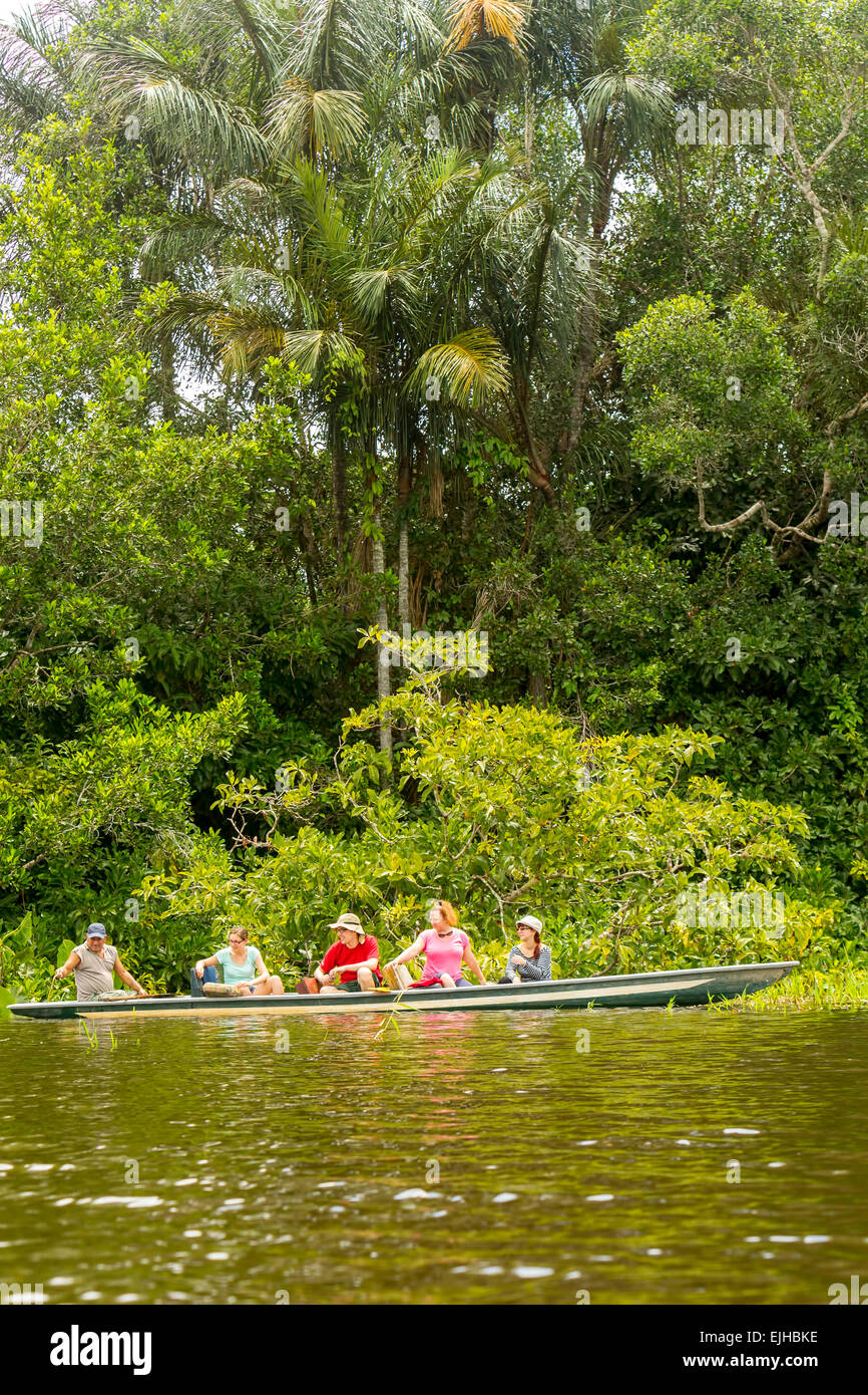 I turisti la pesca leggendario pesce Piranha in Amazzonia ecuadoriana giungla primaria Foto Stock