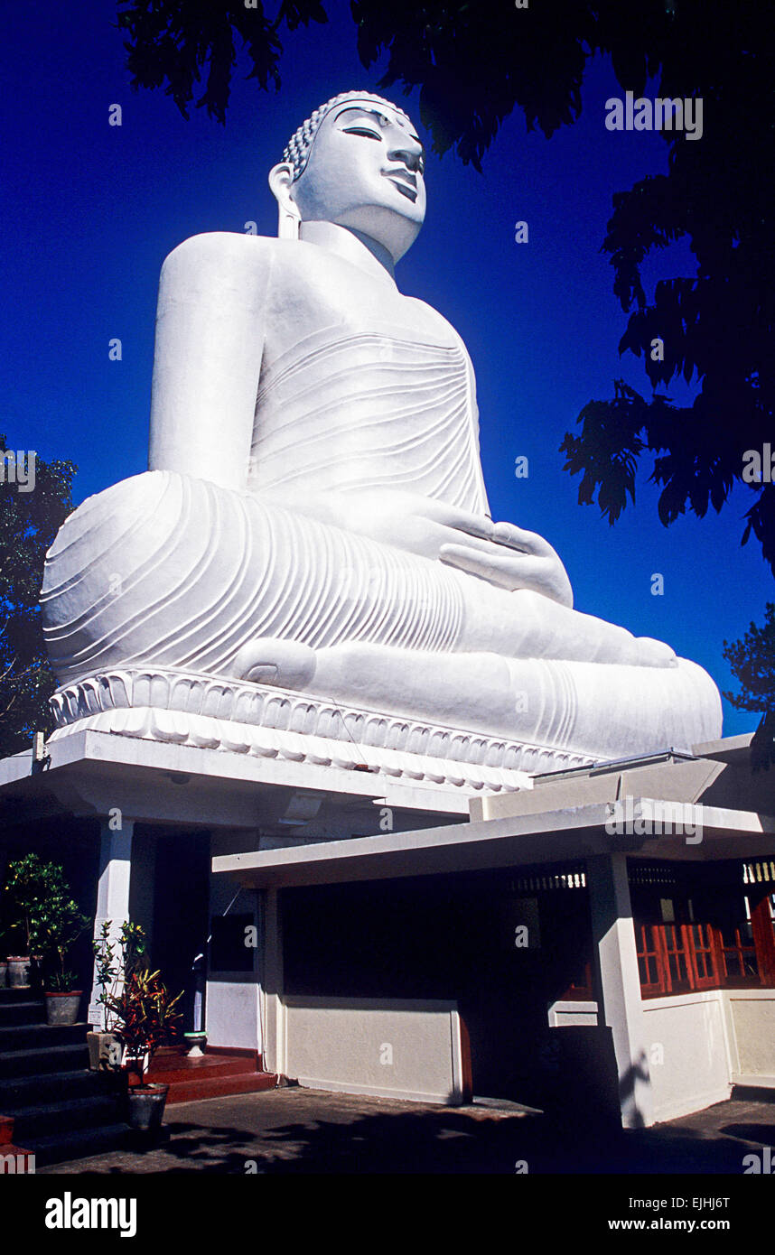Grande statua del Buddha a Kandy, Srilanka Foto Stock