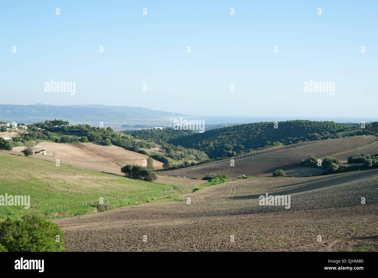 Vista da vicino a Vejer de la Frontera, la provincia di Cadiz Cadice, Andalusia, Spagna. Foto Stock