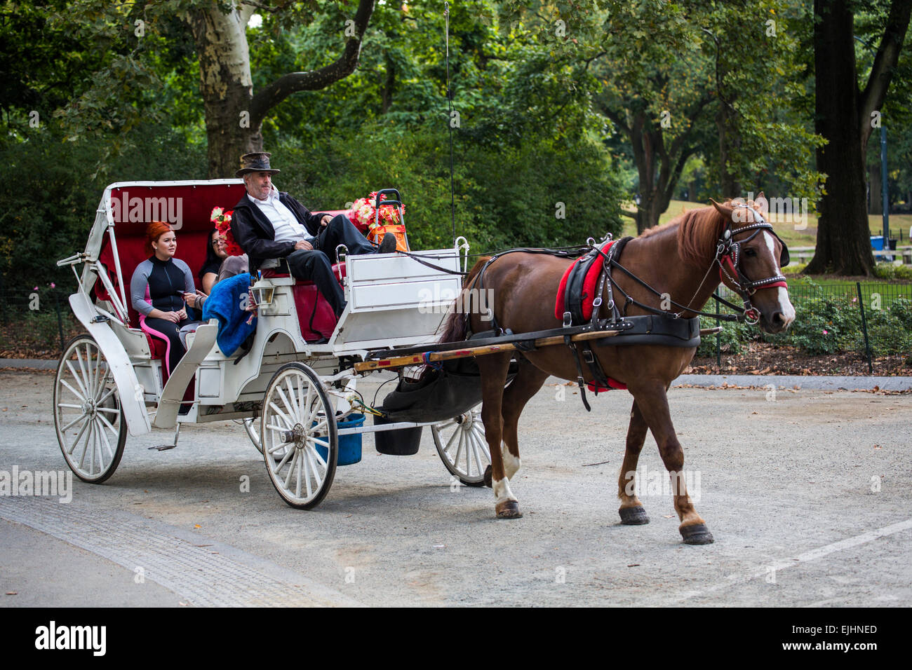 Cavallo e Carrozza nel Central Park di New York, Stati Uniti d'America Foto Stock